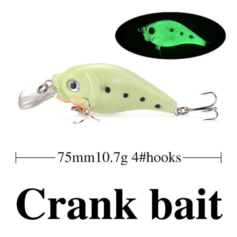 Five 3D fluorescent hard bait fishing lures with luminous finish for bass and perch fishing