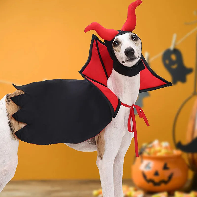 Pet Halloween vampire cloak and hat set in black polyester