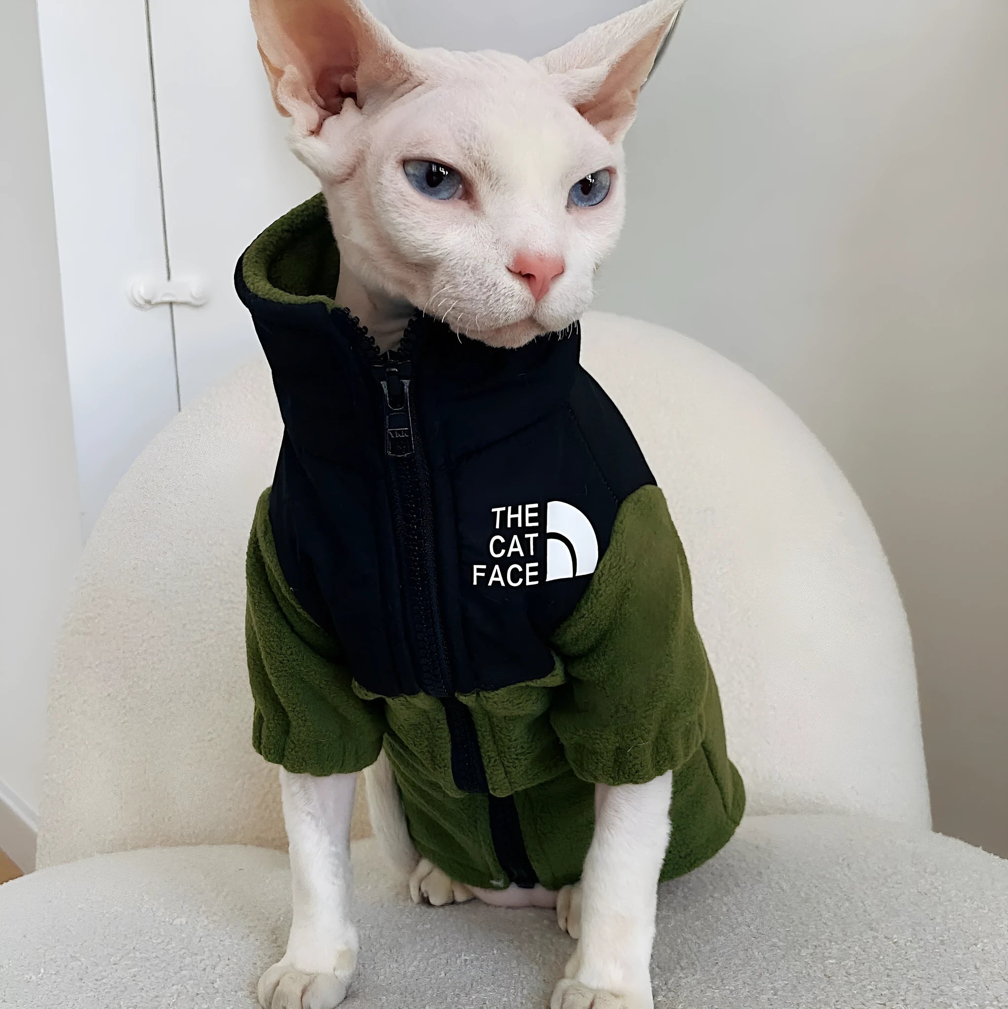 Hairless cat wearing a coral fleece jumpsuit in army green, side view on neutral background