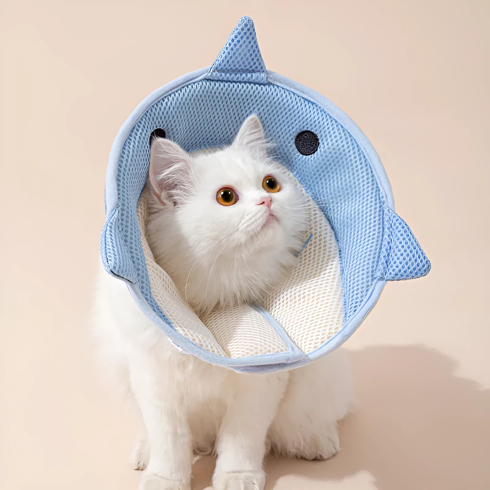 Soft cat recovery collar in shark shape made from nonwoven fabric, available in multiple sizes