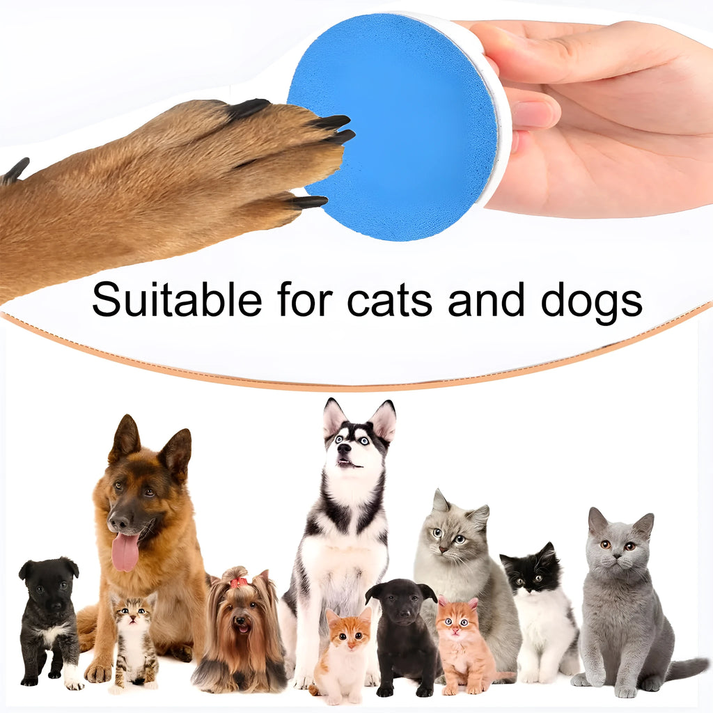 Square blue dog nail file board with ergonomic handle and sandpaper surface