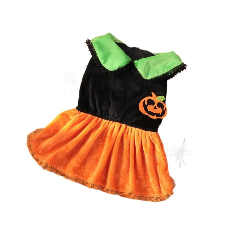 Orange Halloween pumpkin skirt pet costume for small dogs made from crystal velvet fabric