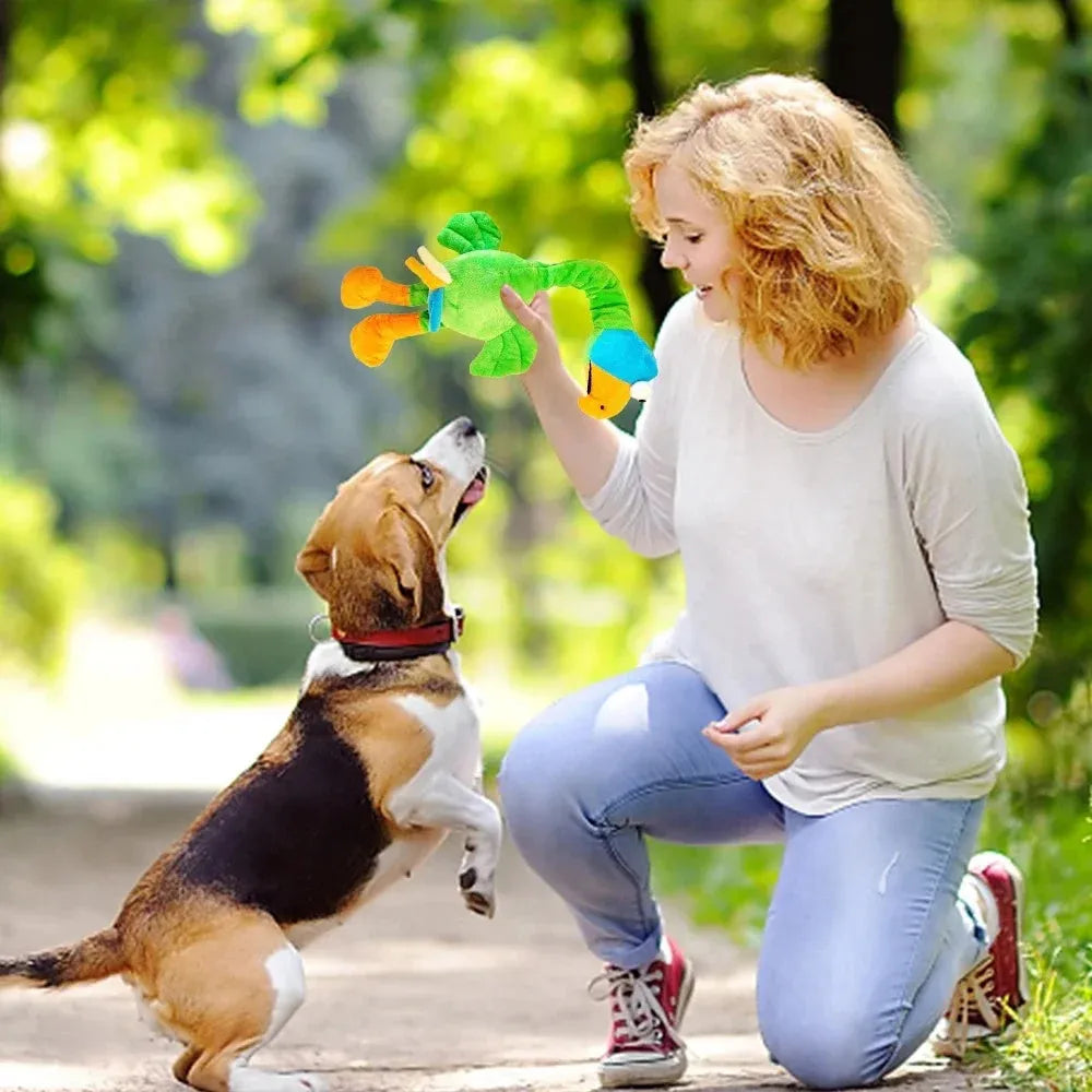 Screaming chicken sound dog chew toy in black, green and orange colours with bite resistant squeaky design