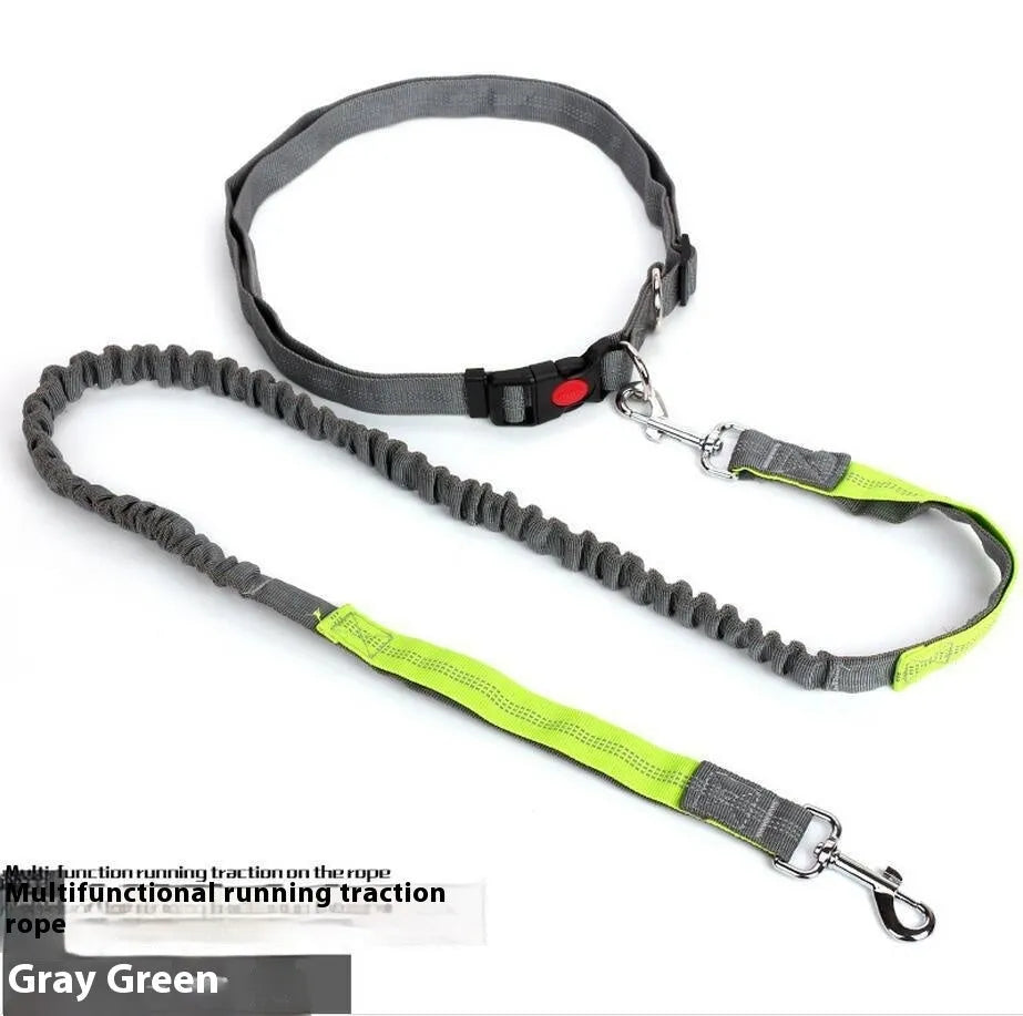 Reflective nylon dog leash with elastic filament sling in grey and green colour combination