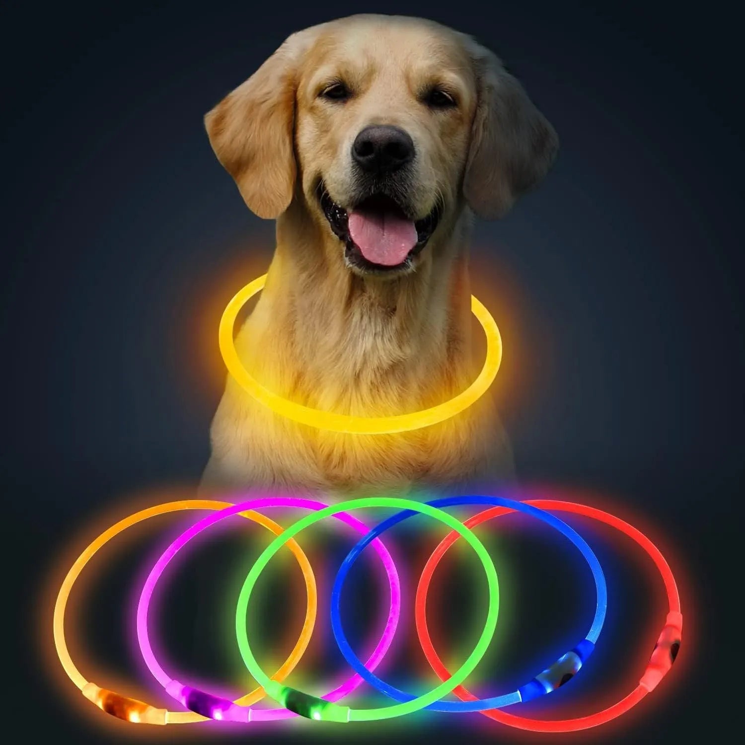 Blue LED dog collar glowing around dog's neck with USB charging cable