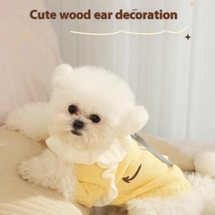 Autumn pet puppy sweater in acrylic knit, Fairy Dress style, on small dog