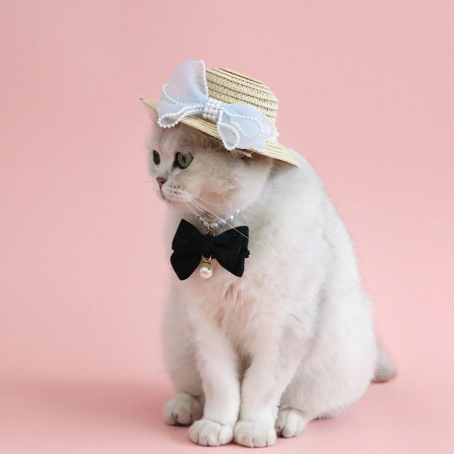 Pet cat wearing woven straw hat with pearl bow decoration in seasonal colour option