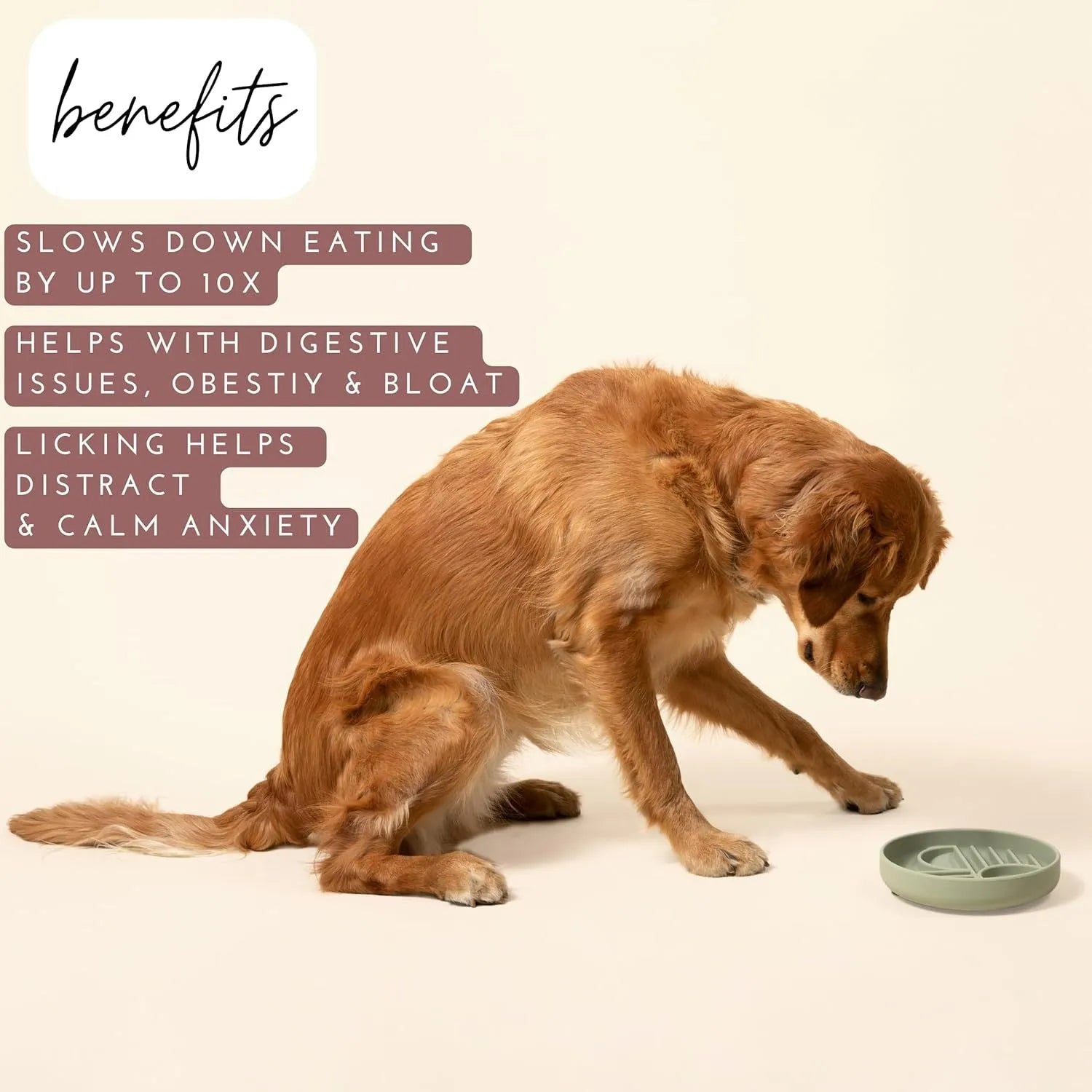 Silicone slow feeder dog bowl with ridges, shown in mustard green colour.