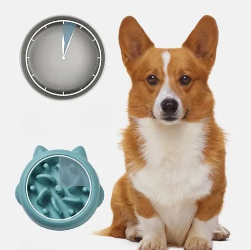 Bone pattern slow feeder dog bowl in PP plastic for anti-gulping pet feeding