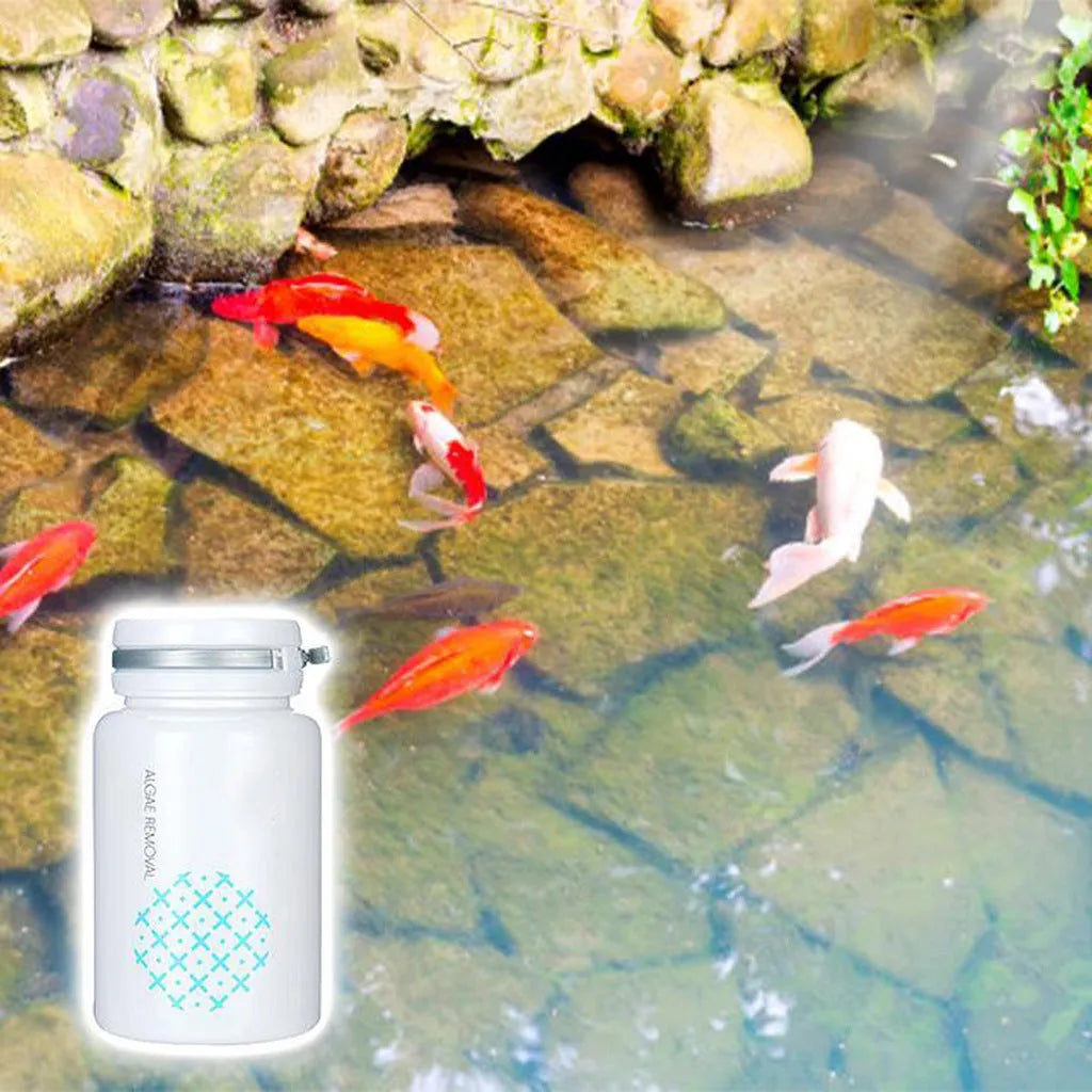 50g pool algaecide for swimming pool algae and moss removal treatment