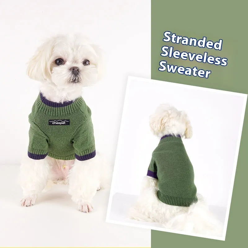 British-style two-legged wool pet sweater in Crown Blue on a dog model