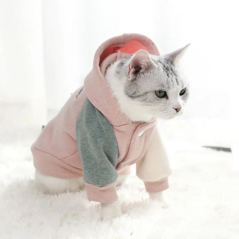 Brown cotton pet sweatshirt for dogs or cats shown in size M.