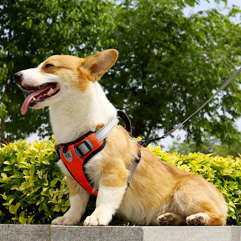 Polyester dog hand holding rope vest chest strap in orange with back panel and handle