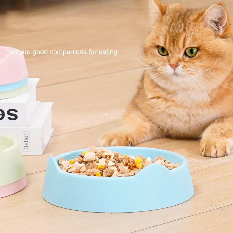 Blue ceramic dog slow feeder bowl with raised internal maze pattern for portion control