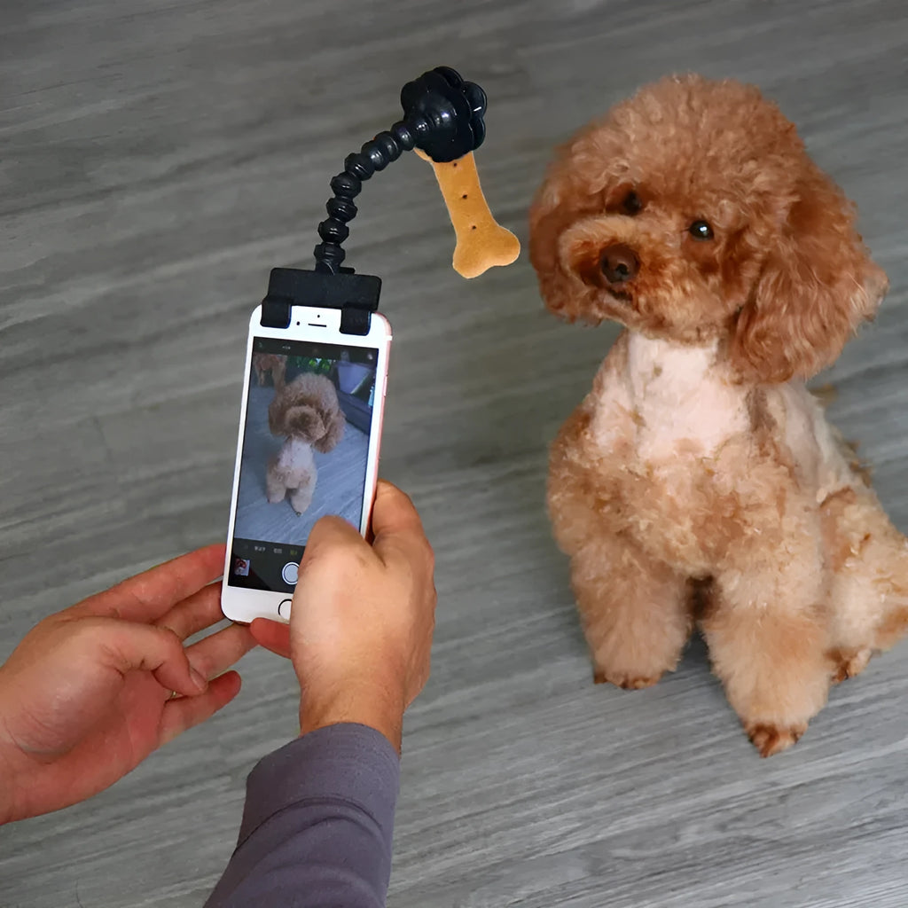 Pet photography selfie stick with clip for snacks in black plastic, showing phone holder and rotatable head