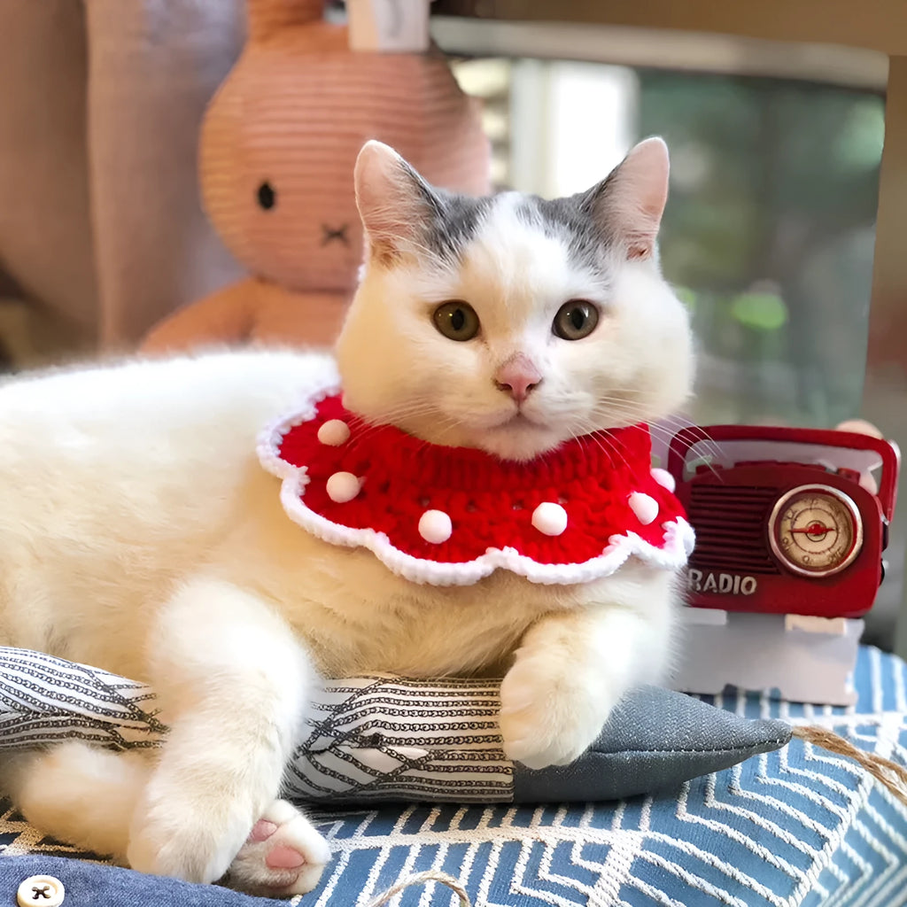 A soft milk cotton knitted pet collar with a cartoon pattern, shown in a customisable colour for cats, dogs, or rabbits.