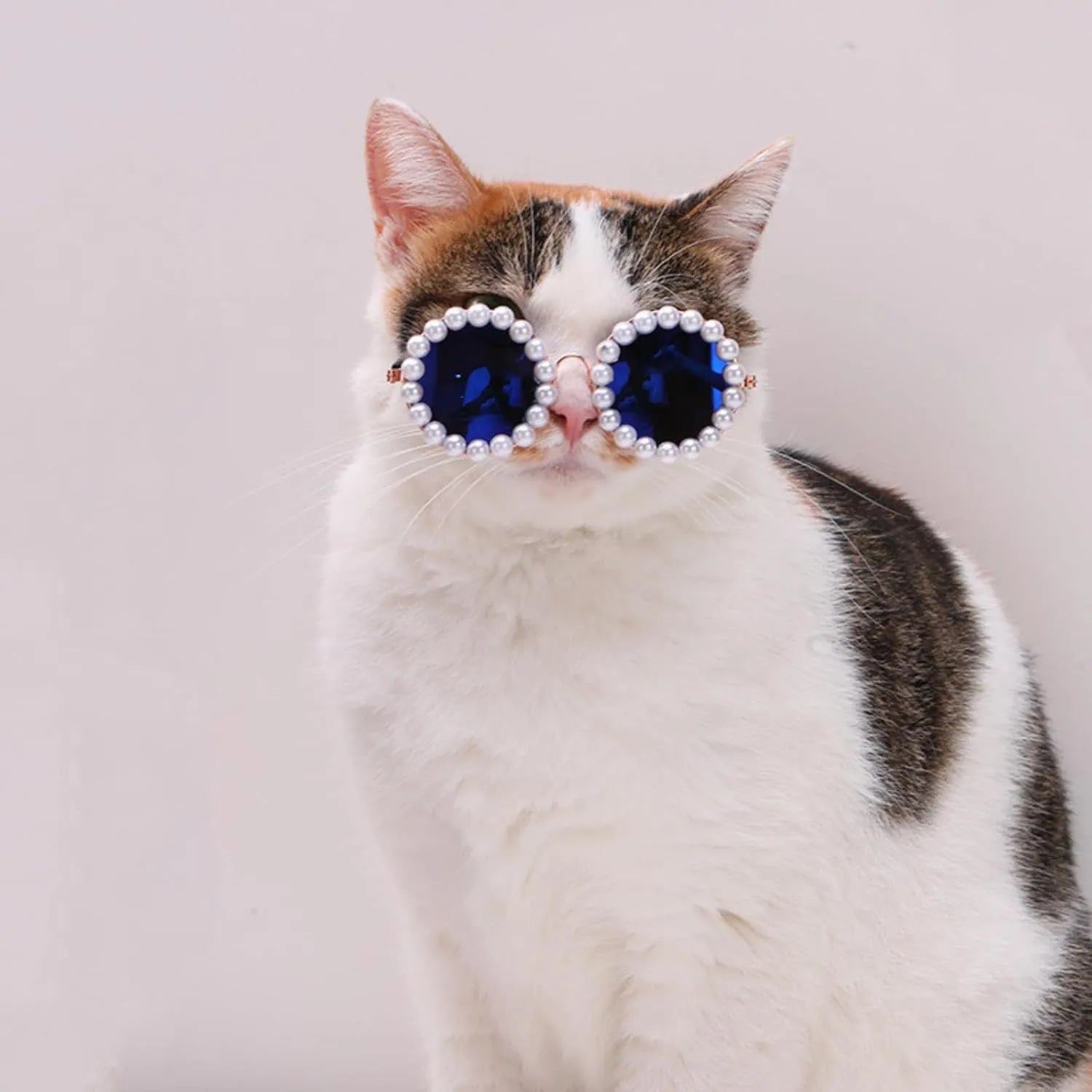 Cat and dog pearl-rimmed round sunglasses in multiple colours for pet party dress-up