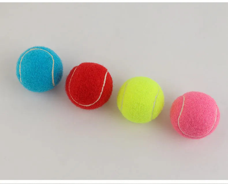 6.3cm diameter rubber dog tennis ball in assorted colours including blue, pink and green.