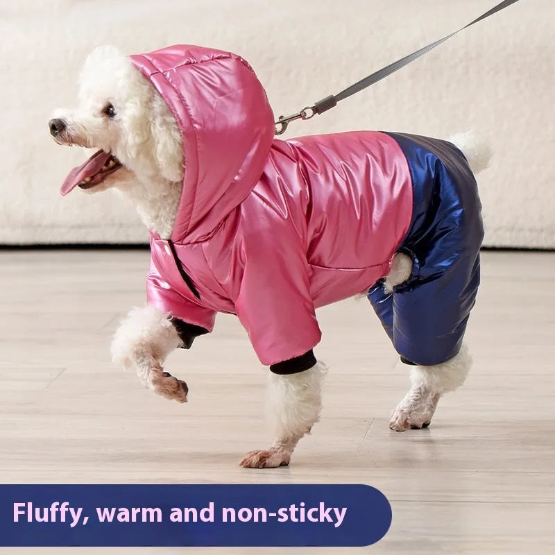 Green waterproof cotton padded dog coat on a large breed dog showing four-legged design.