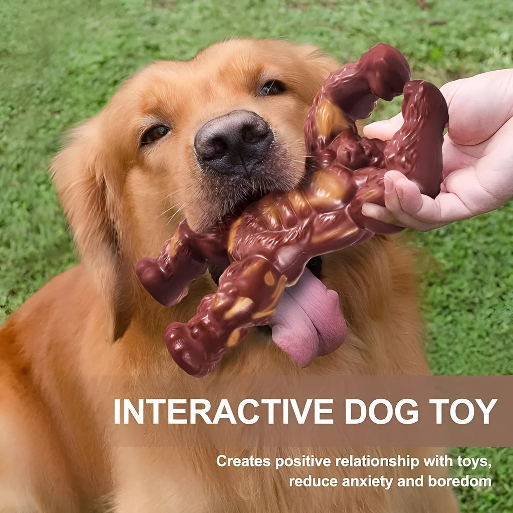 Scarlet coloured nylon dog chew toy with beef flavour and molar nibbling design