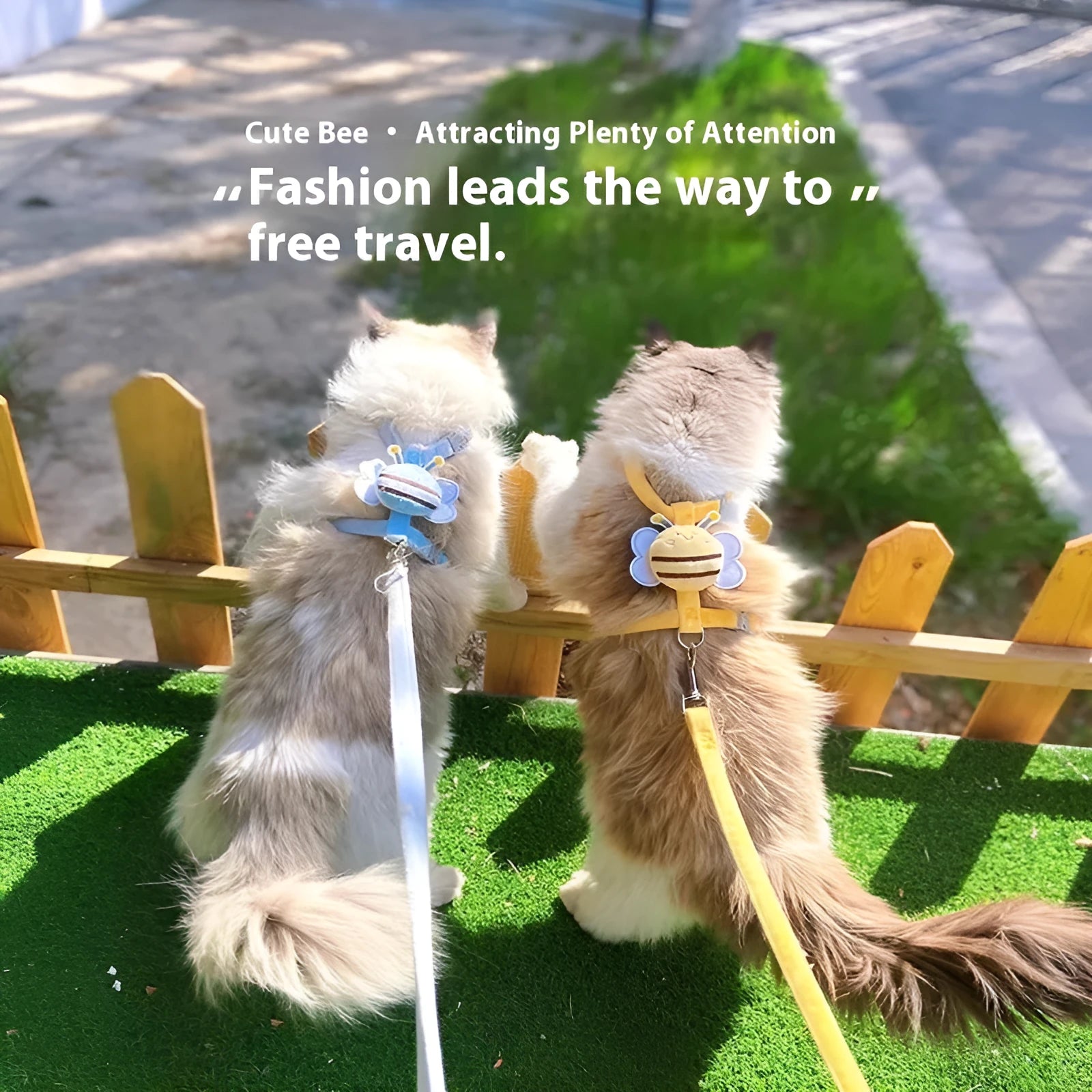 Bee-shaped teddy cat lead in blue colour with adjustable strap and hand rope