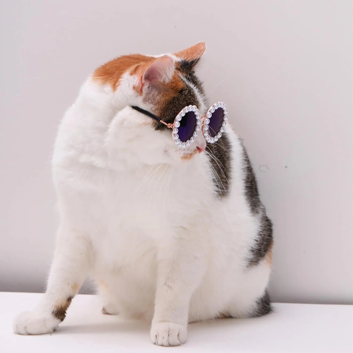 Cat and dog pearl-rimmed round sunglasses in multiple colours for pet party dress-up