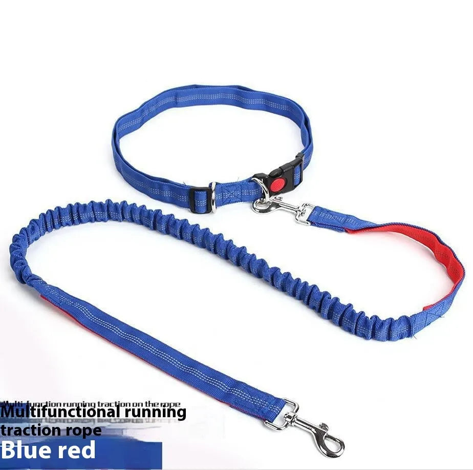 Reflective nylon dog leash with elastic filament sling in grey and green colour combination