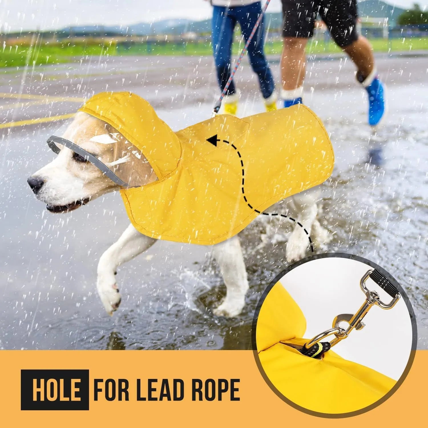 Dog raincoat in orange with transparent hood, waterproof breathable fabric, belly coverage, on a small dog