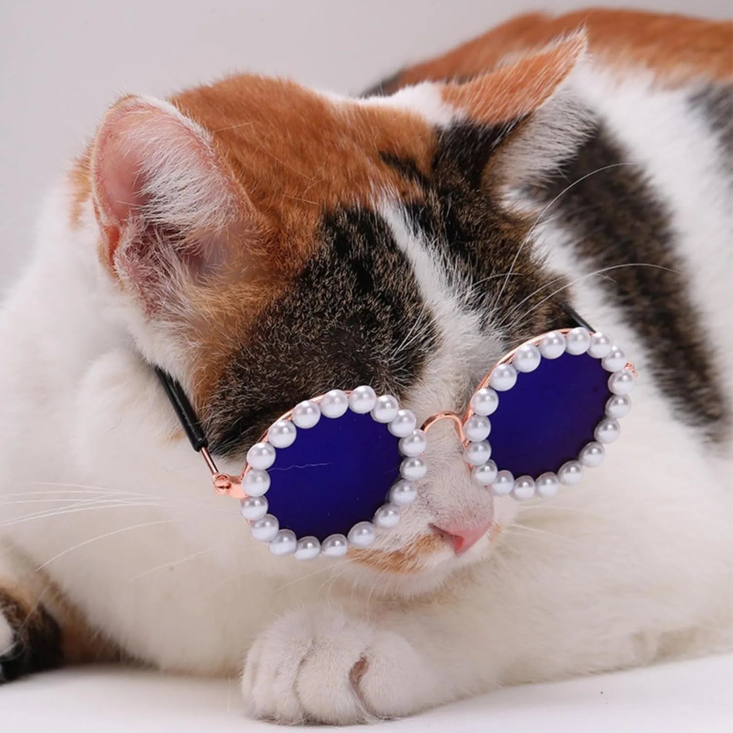 Cat and dog pearl-rimmed round sunglasses in multiple colours for pet party dress-up