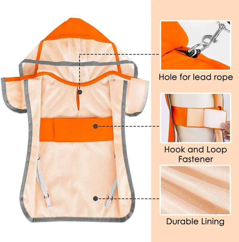 Dog raincoat in orange with transparent hood, waterproof breathable fabric, belly coverage, on a small dog