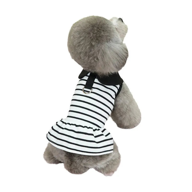 Pet wearing striped skirt and matching T-shirt summer outfit set
