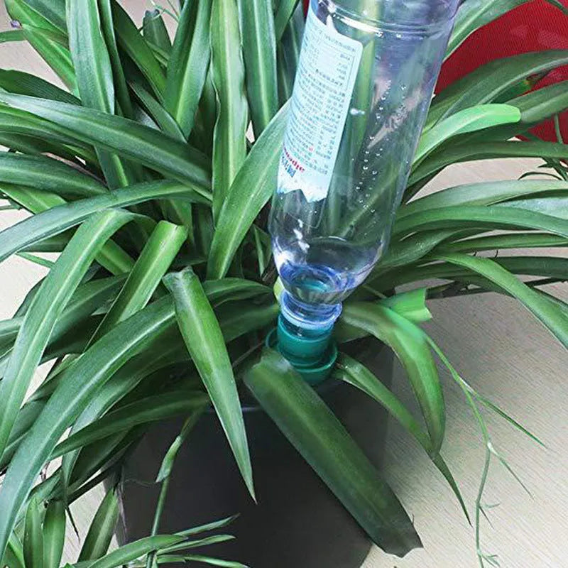 Green ceramic automatic water seepage dripper for use with a plastic cola bottle.