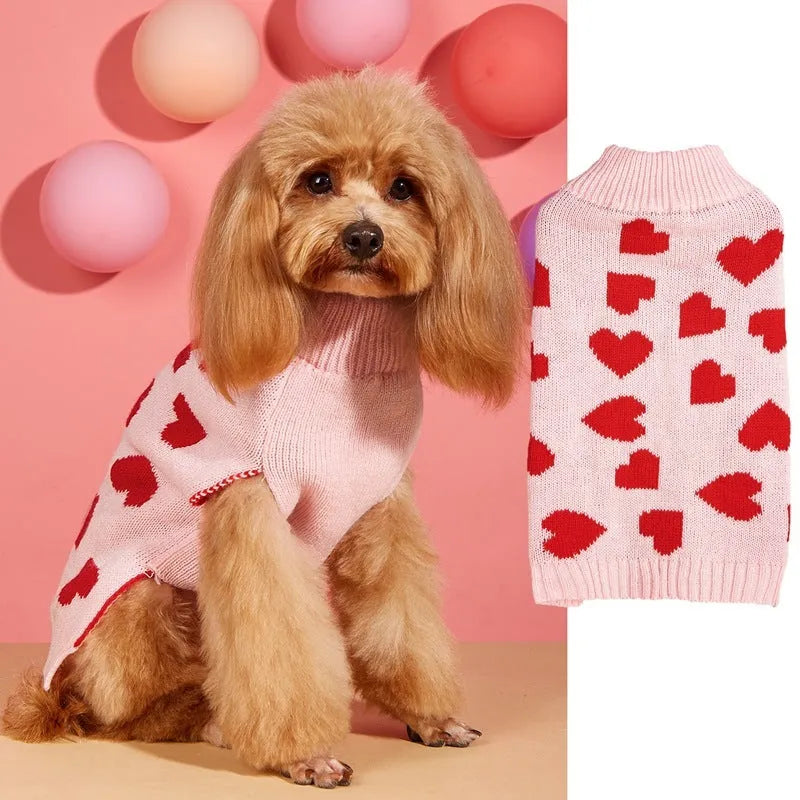 Small dog wearing a red knitted jumper with a white love heart motif on the chest.