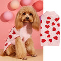 Small dog wearing a red knitted jumper with a white love heart motif on the chest.