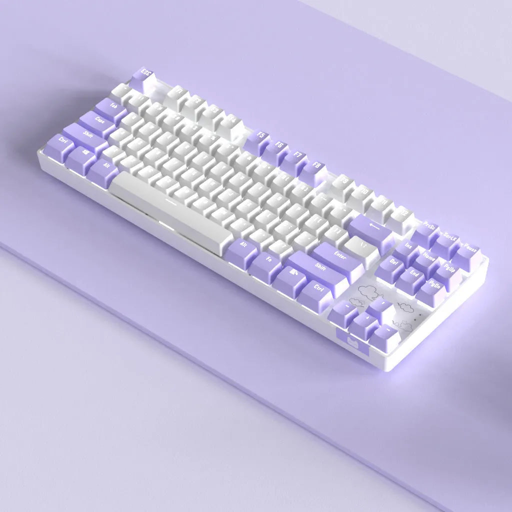 Wireless Bluetooth mechanical keyboard with metal board in purple-white or blue-white colour options