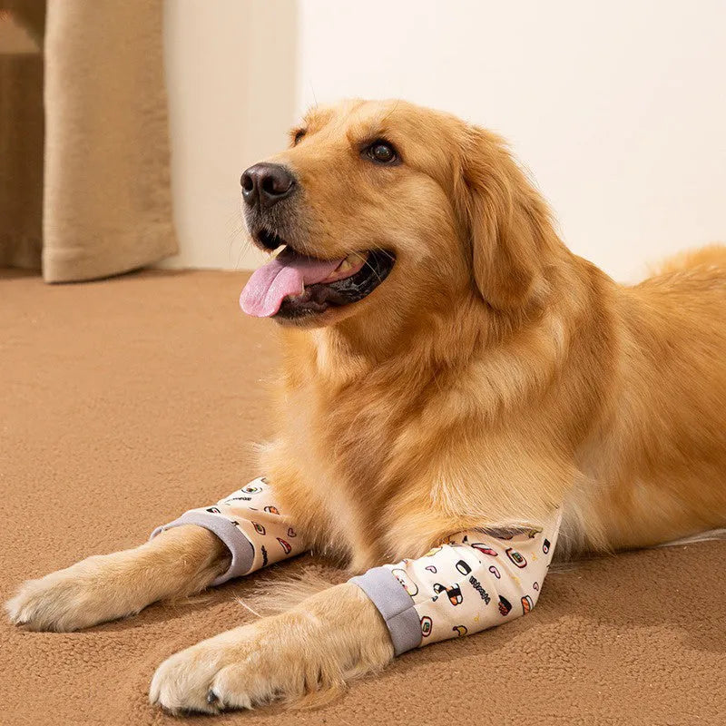 Dog wearing blue knee protector with thick elbow padding and matching scarf