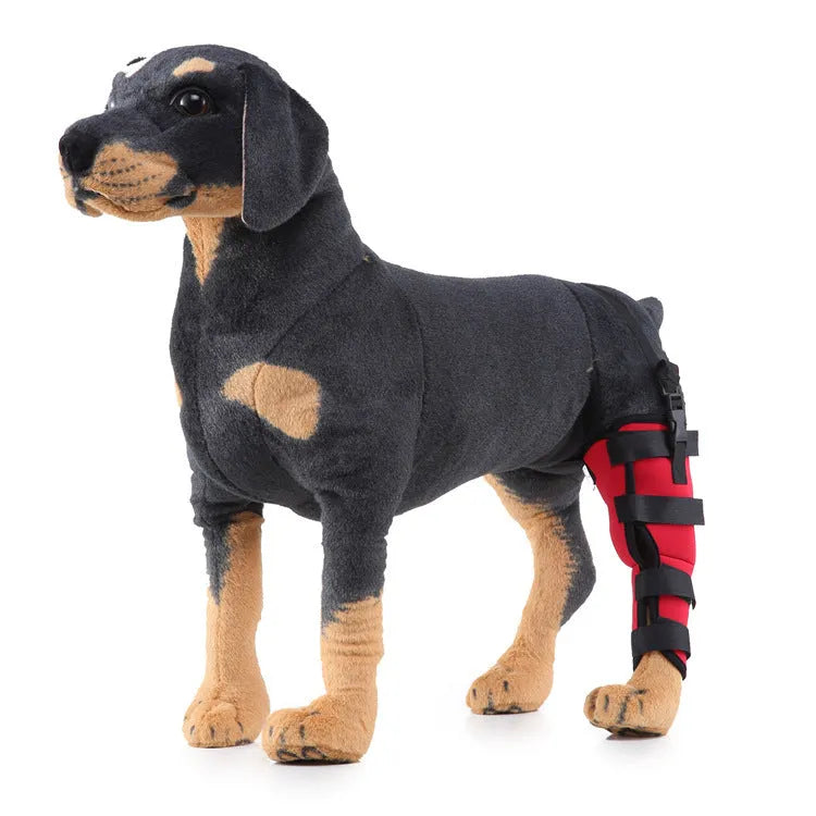 Pet leg rehabilitation foot support in black SBR material with adjustable wrap design