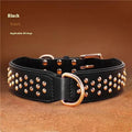 Leather dog collar with metal rivets in black, chocolate, or pink colour options