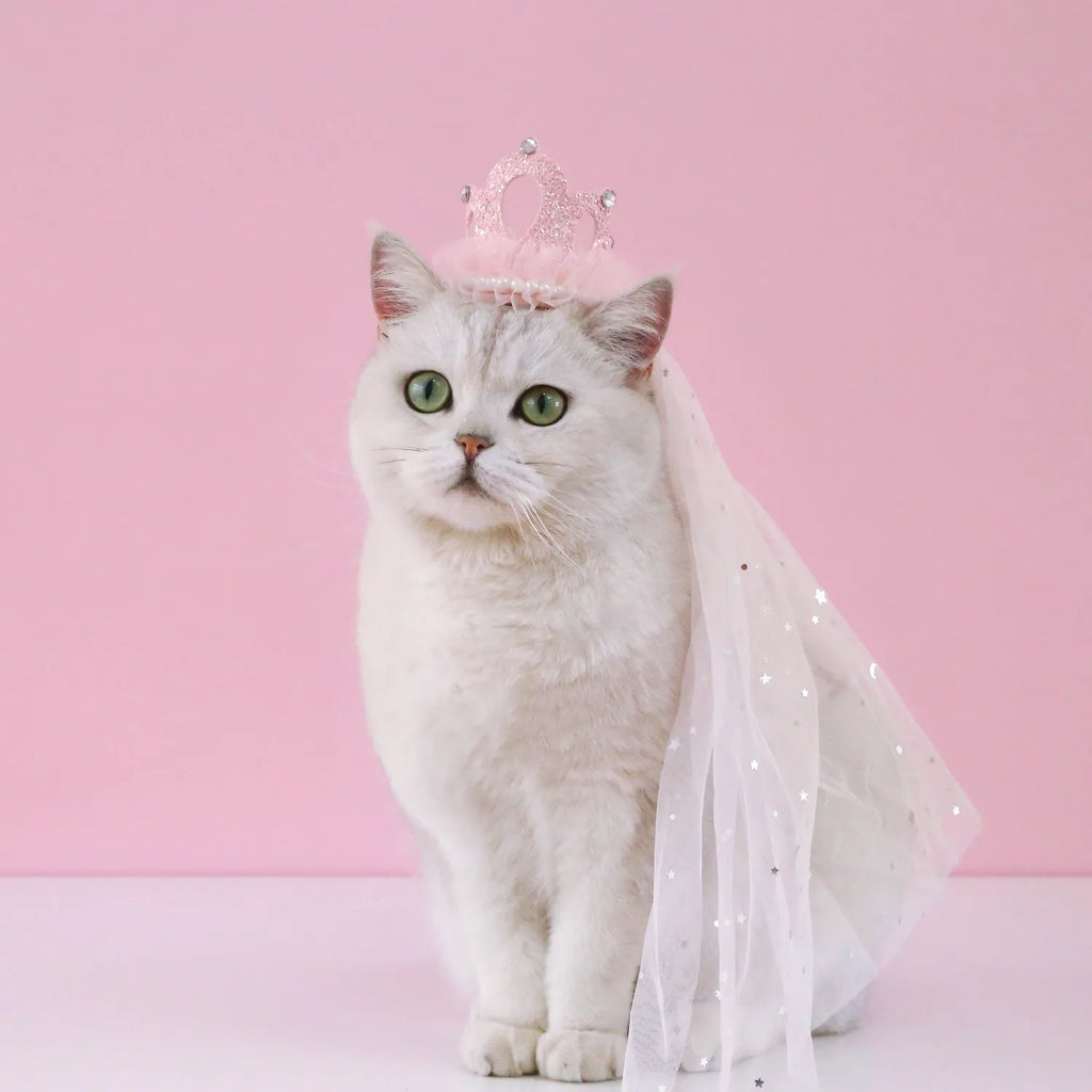 A beige and a pink princess crown headdress for cats on a white background.