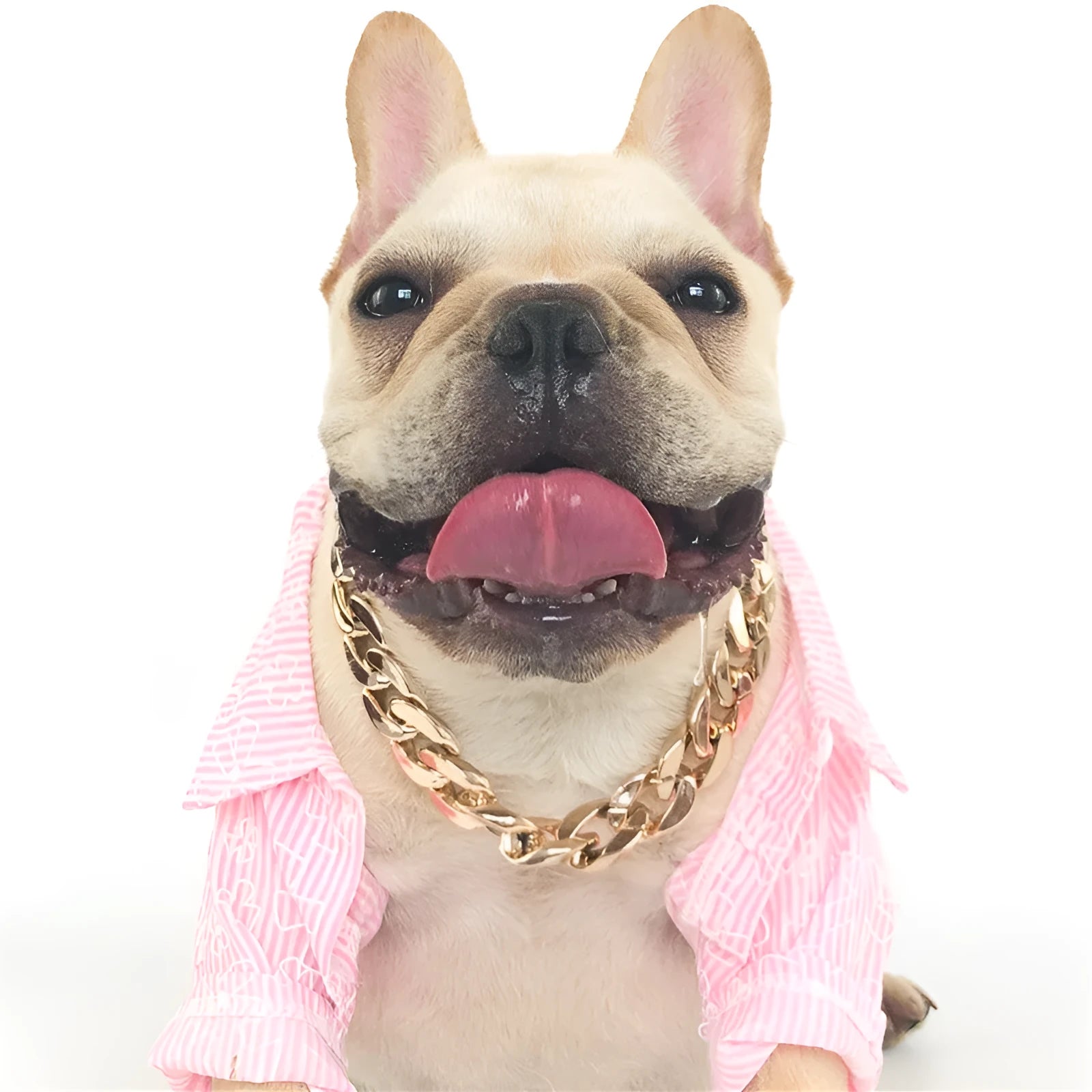 Geometric dog collar ornament with twisted chain buckle in gold, rose gold, and white colours.