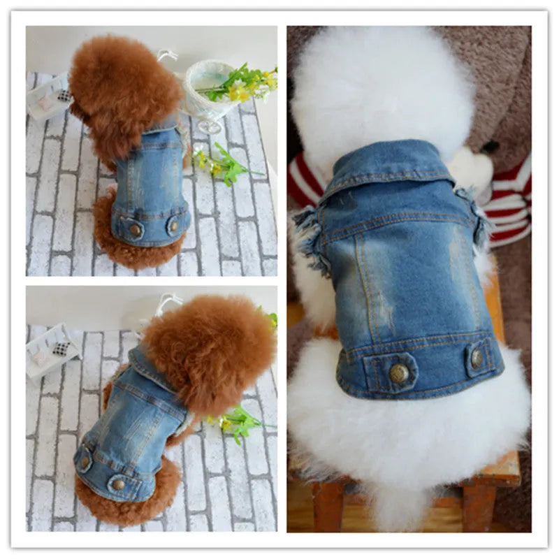 Denim dog vest with distressed retro scratch pattern design for small breed autumn winter wear
