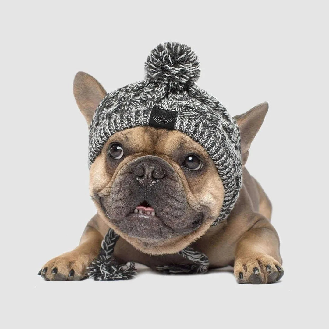Grey winter fashion dog hat with fluffy polar pom, braided knit acrylic fabric, and ear slits on a dog