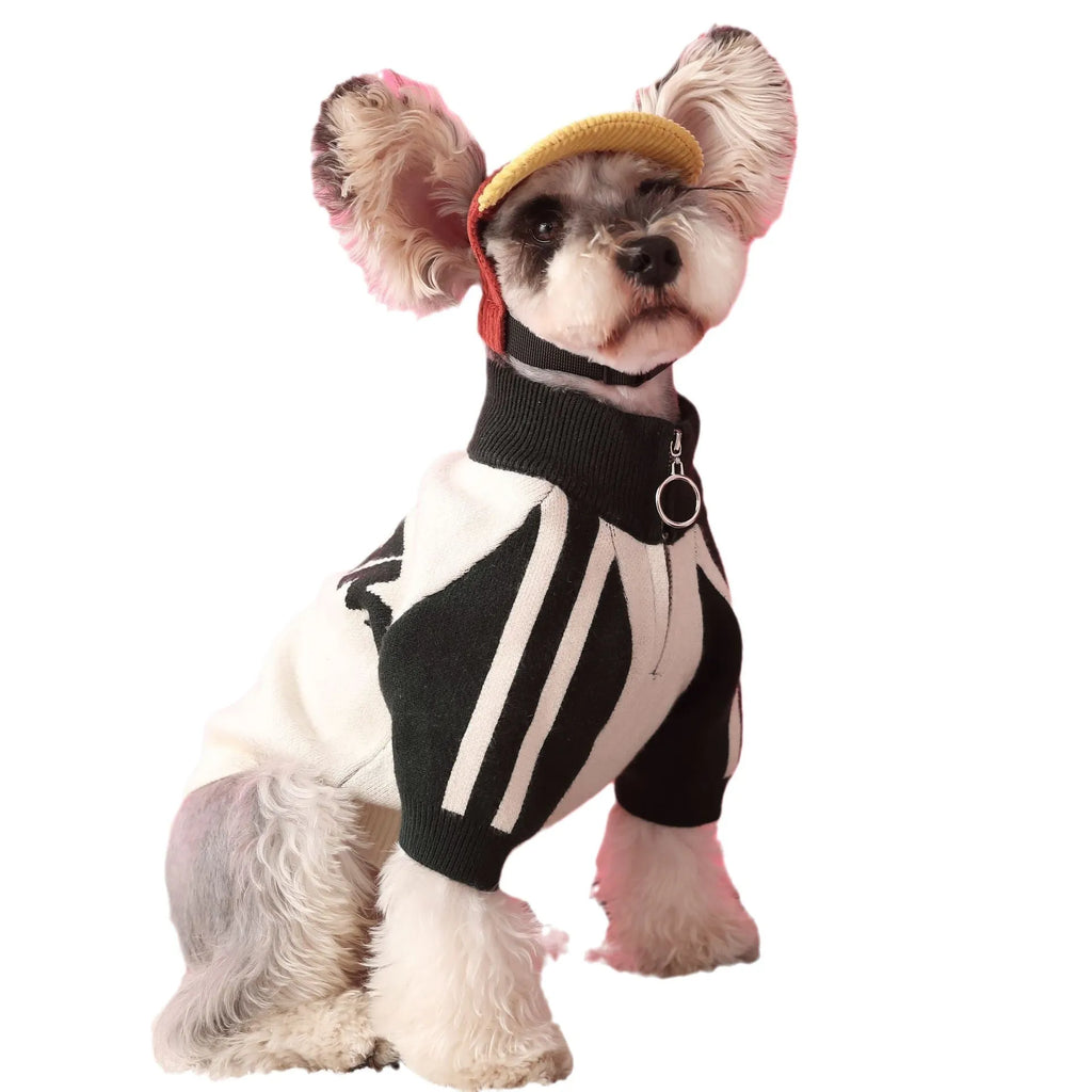 Wool dog sweater cardigan in dark green, available in multiple sizes for casual pet wear