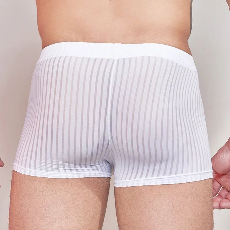 Men's thin striped nylon underwear in black, shown flat.