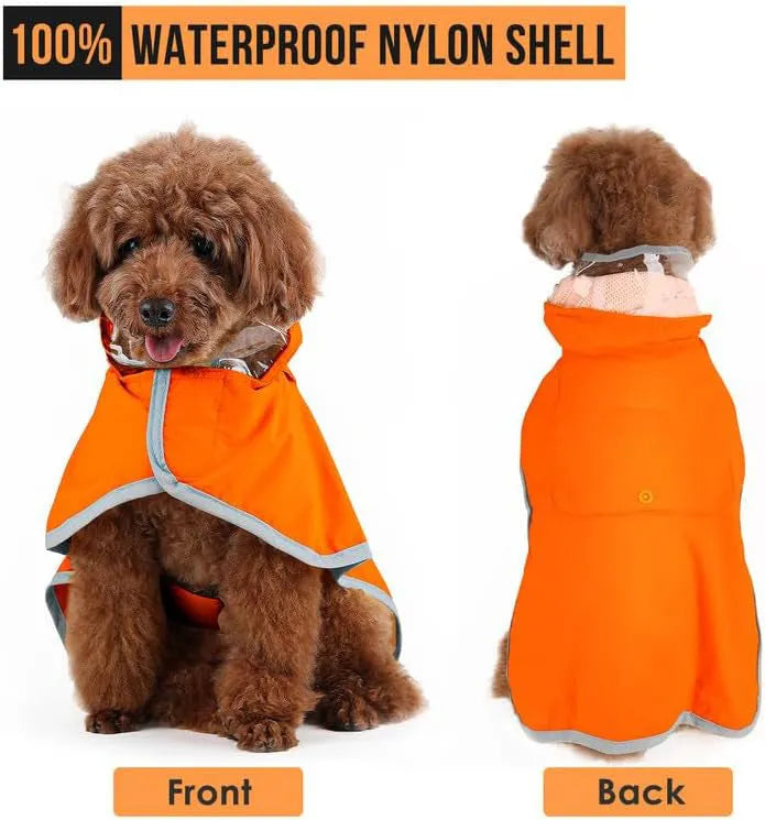 Dog raincoat in orange with transparent hood, waterproof breathable fabric, belly coverage, on a small dog