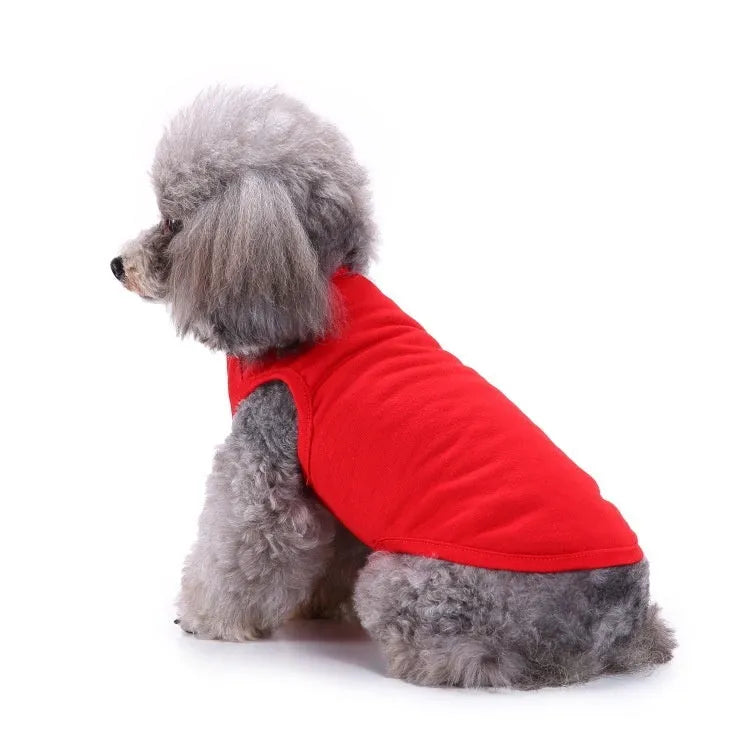 Small dog wearing black cotton hooded T-shirt pullover pet clothing