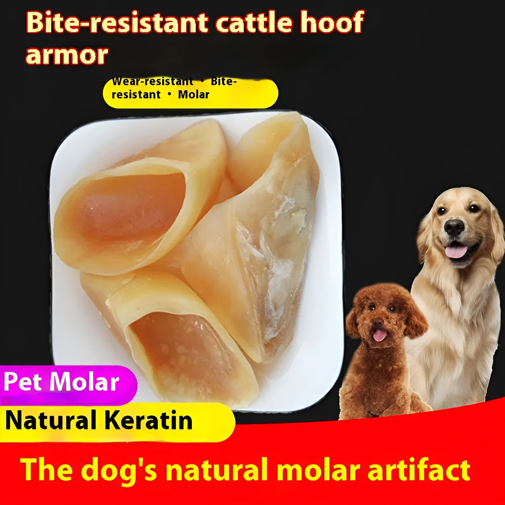 Natural cow hoof shell dog chew made from cowhide for small or large dogs.