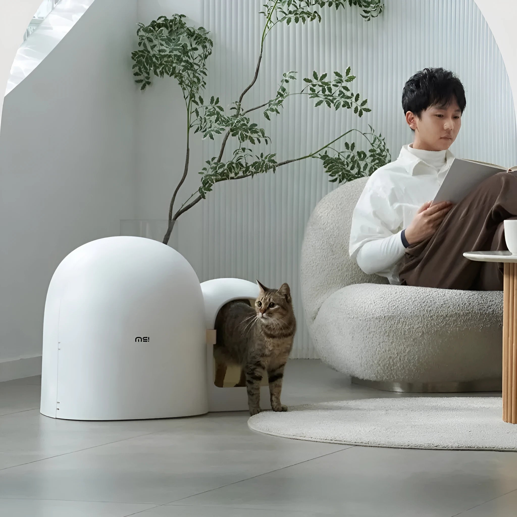 Oversized enclosed cat litter box in ABS plastic showing dimensions 67.7cm by 49cm by 50cm
