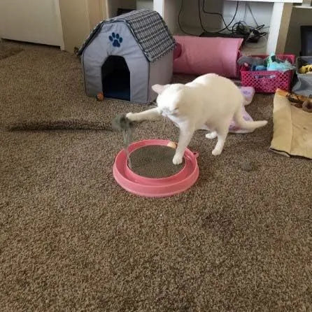 Blue interactive cat scratcher with ball track and replaceable corrugated cardboard scratching surface