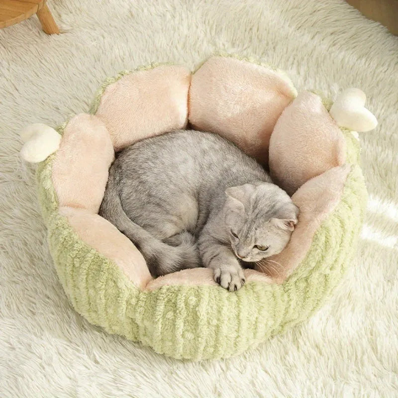 Green cactus-shaped soft cat litter kennel for indoor cats with measurement showing 60cm length